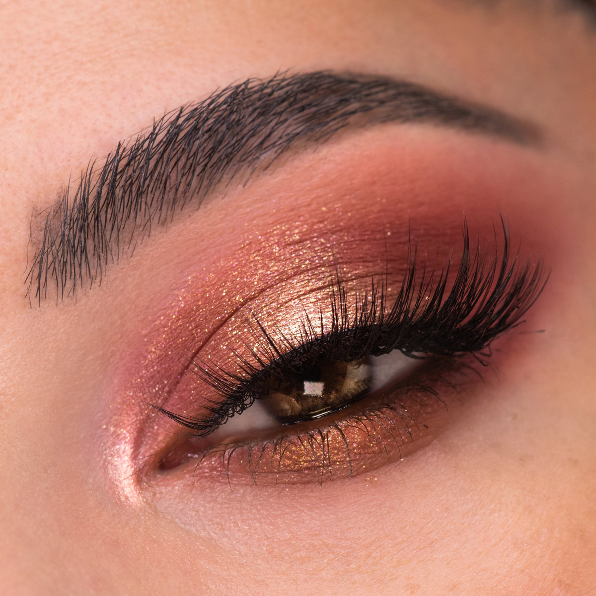 Shadow Palette By The Rosé