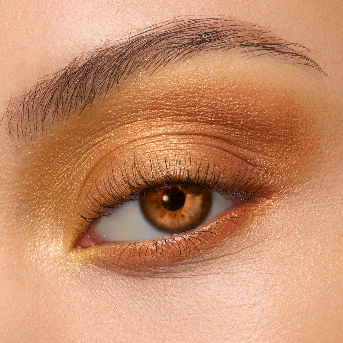 Shadow Palette New Moon