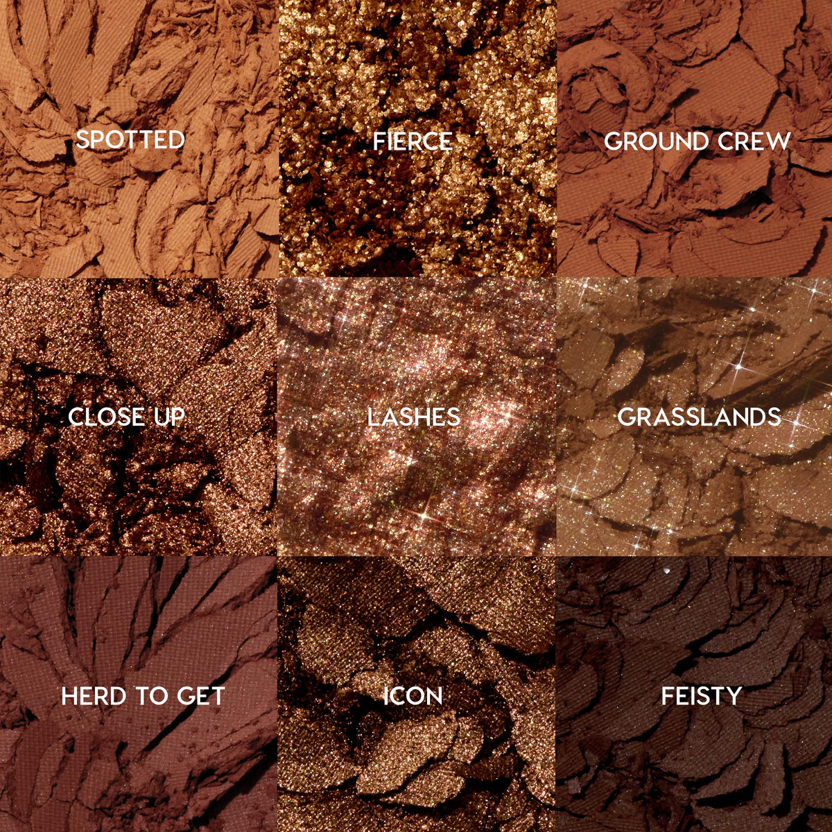 Shadow Palette Set Tone Up