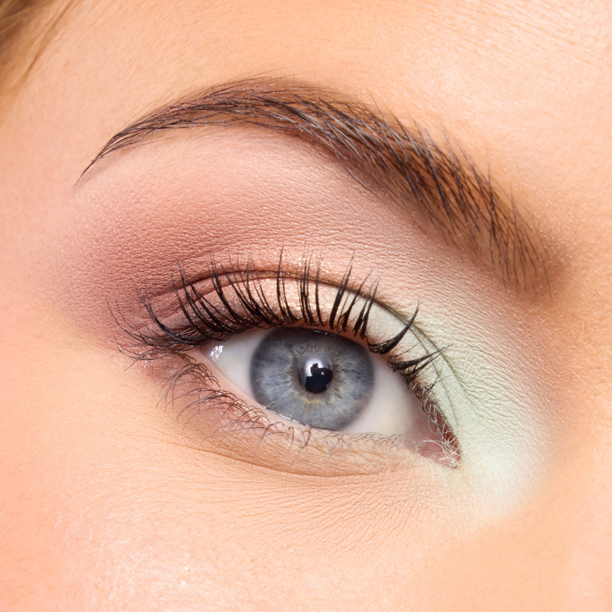 Shadow Palette Best of Both Worlds