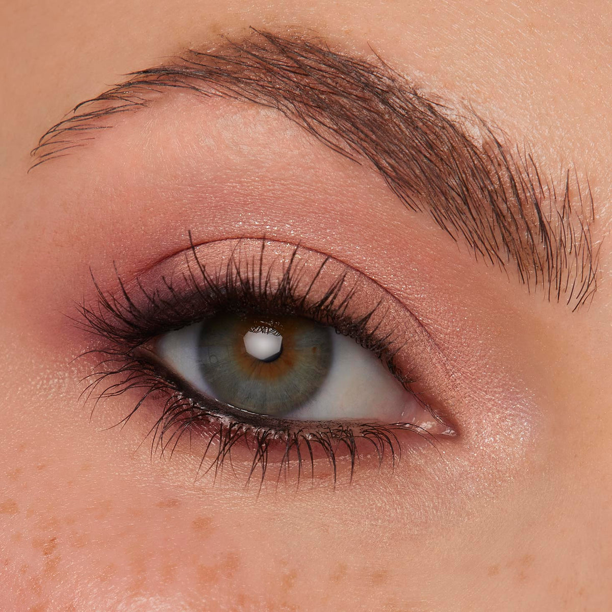 Shadow Palette Set Coconut BB