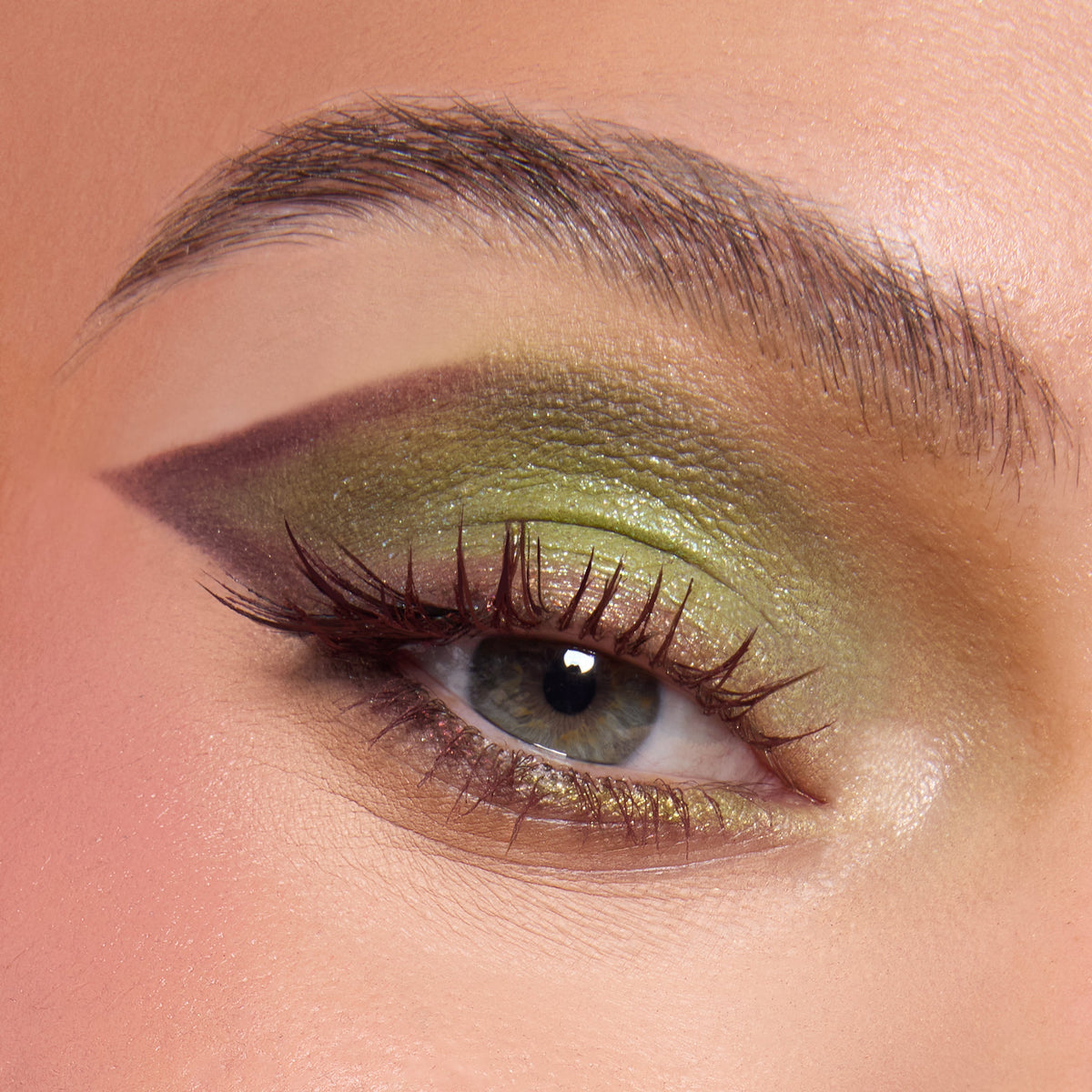 Shadow Palette Beware Ogre