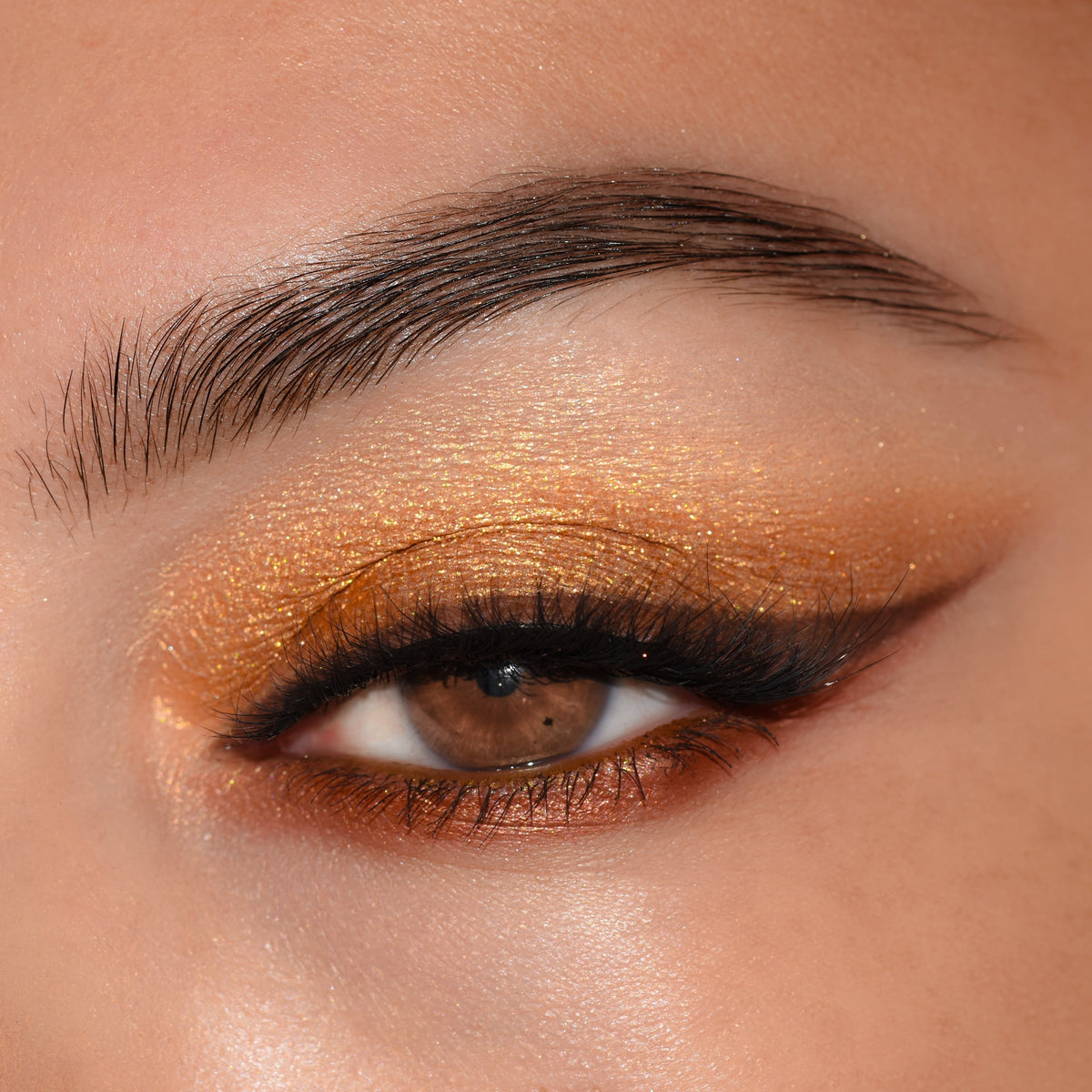 Shadow Palette Set Feelin Wild