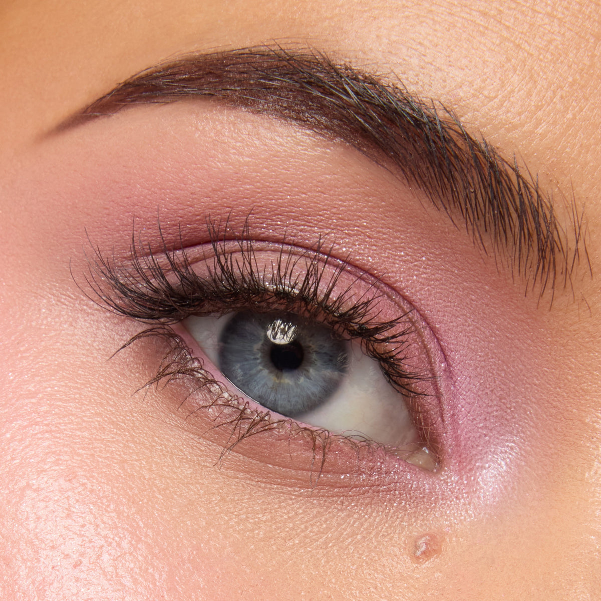 Shadow Palette Pink Dreams
