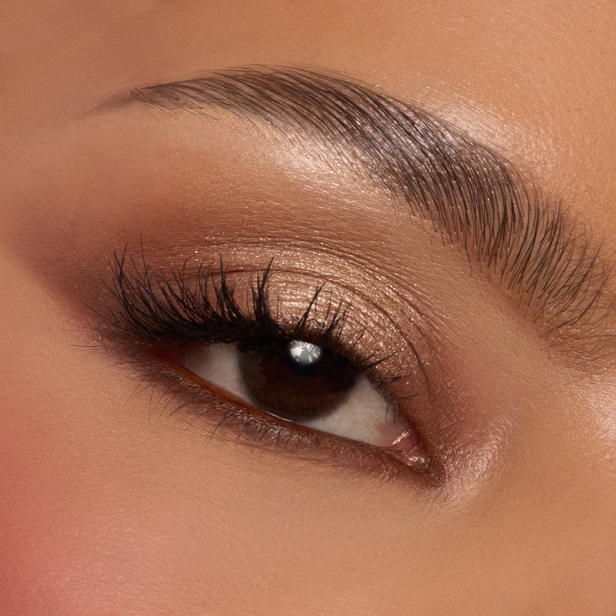 Shadow Palette Deja Brew