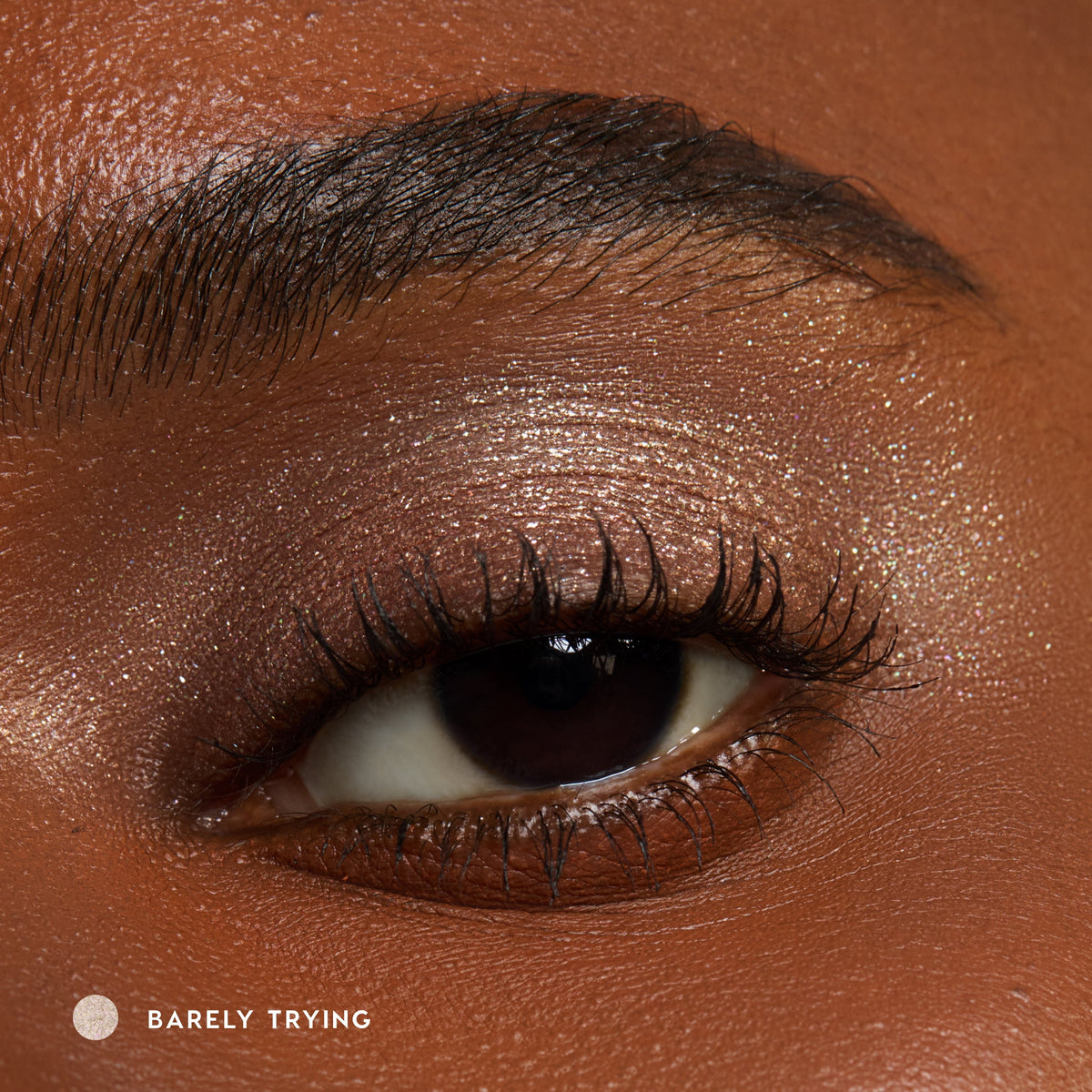 Super Shock Shadow Barely Trying