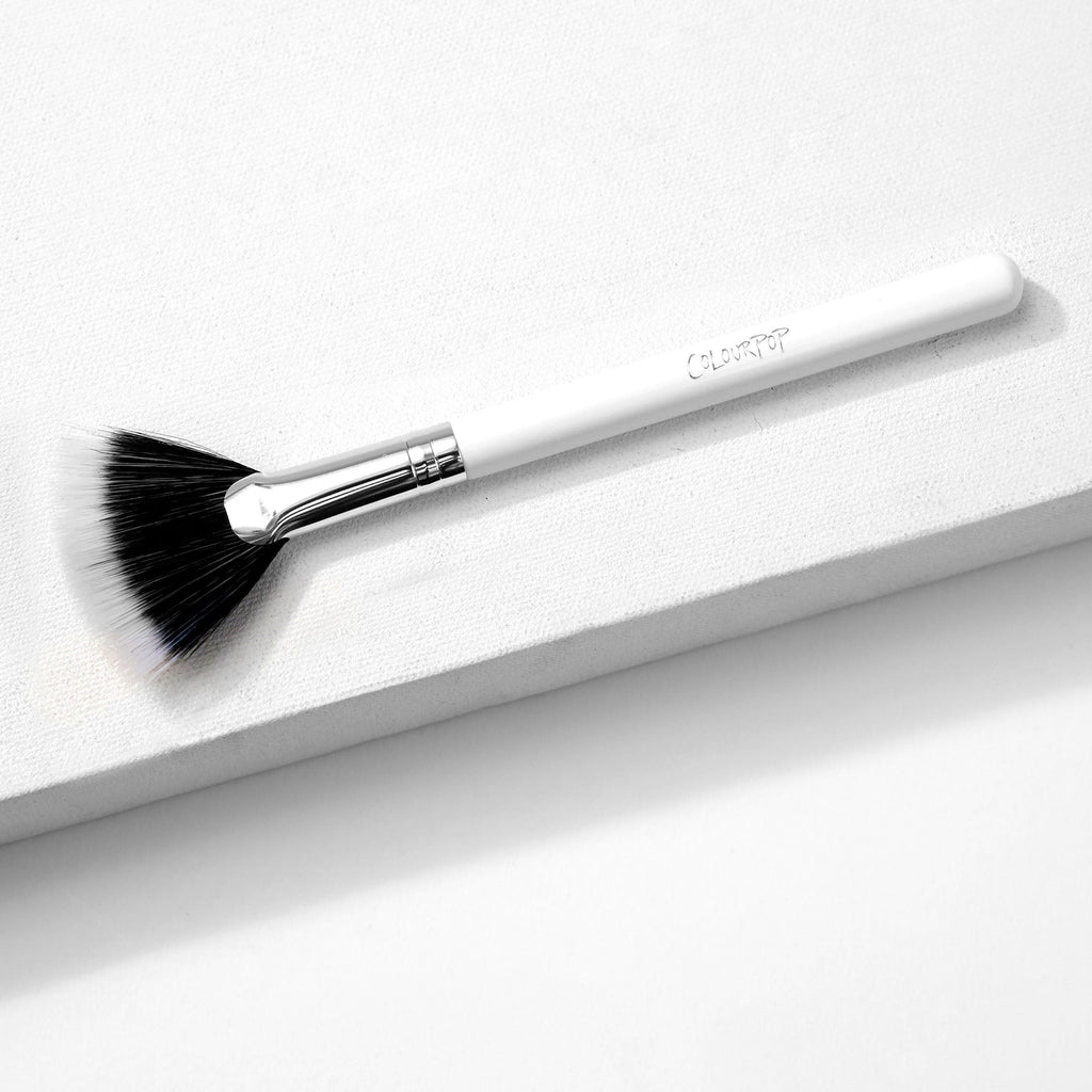 Makeup Brush Fan Brush