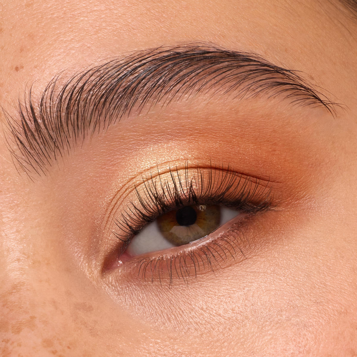 Shadow Palette Feelin' Toasty