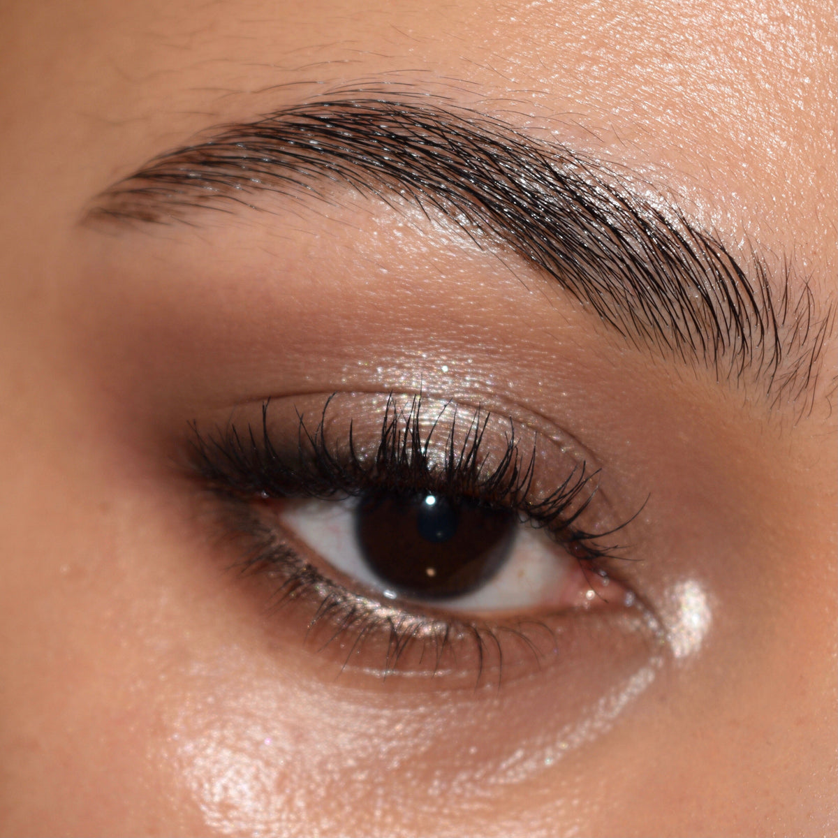 Shadow Palette & Brush Set The Ultimate Stunner