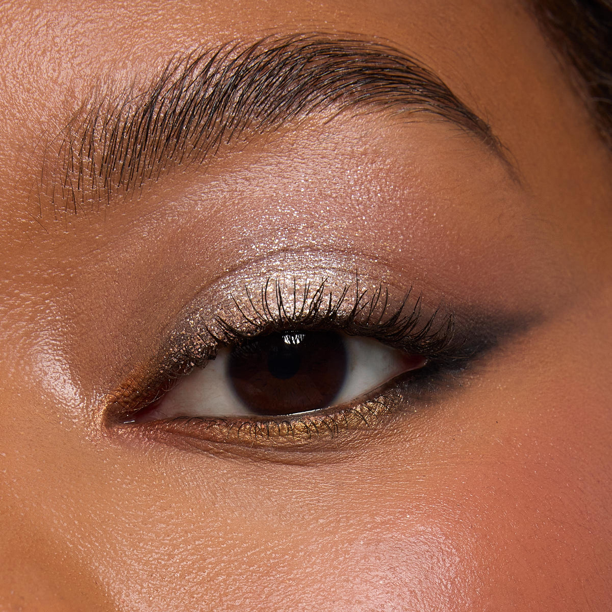 Shadow Palette Precious Metals
