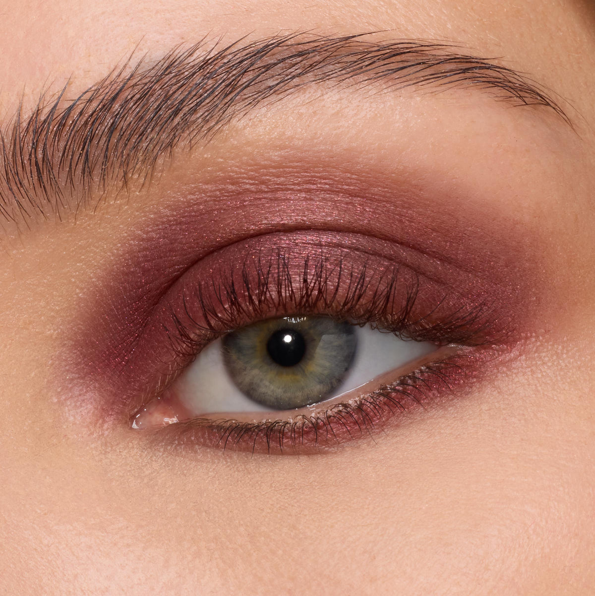 Super Shock Shadow The Volturi