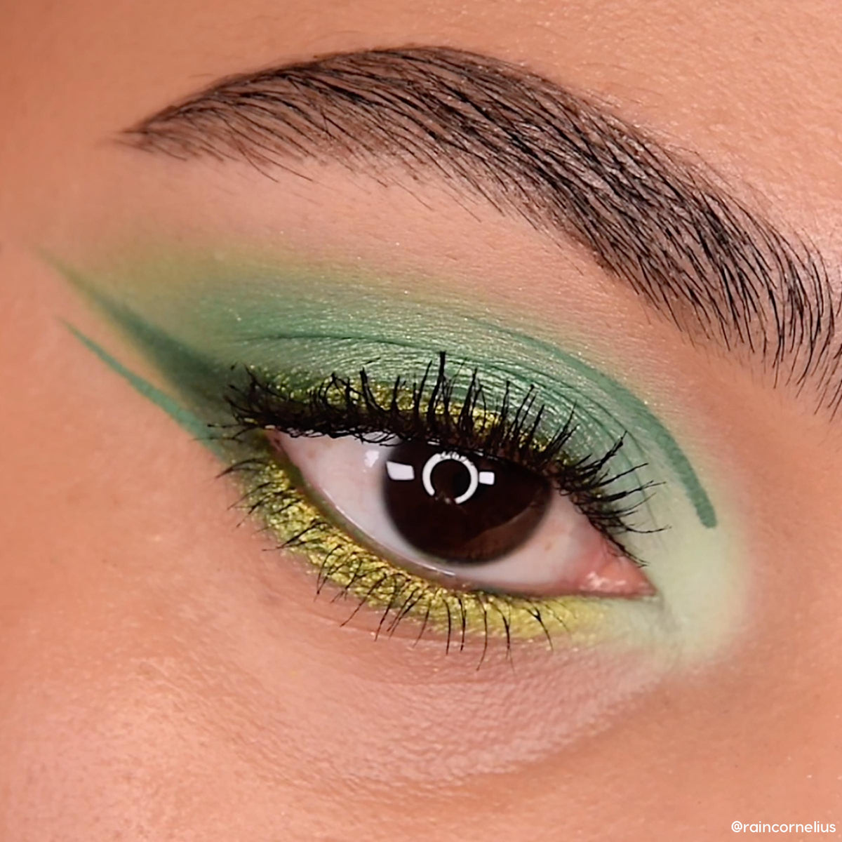 Shadow Palette Just My Luck