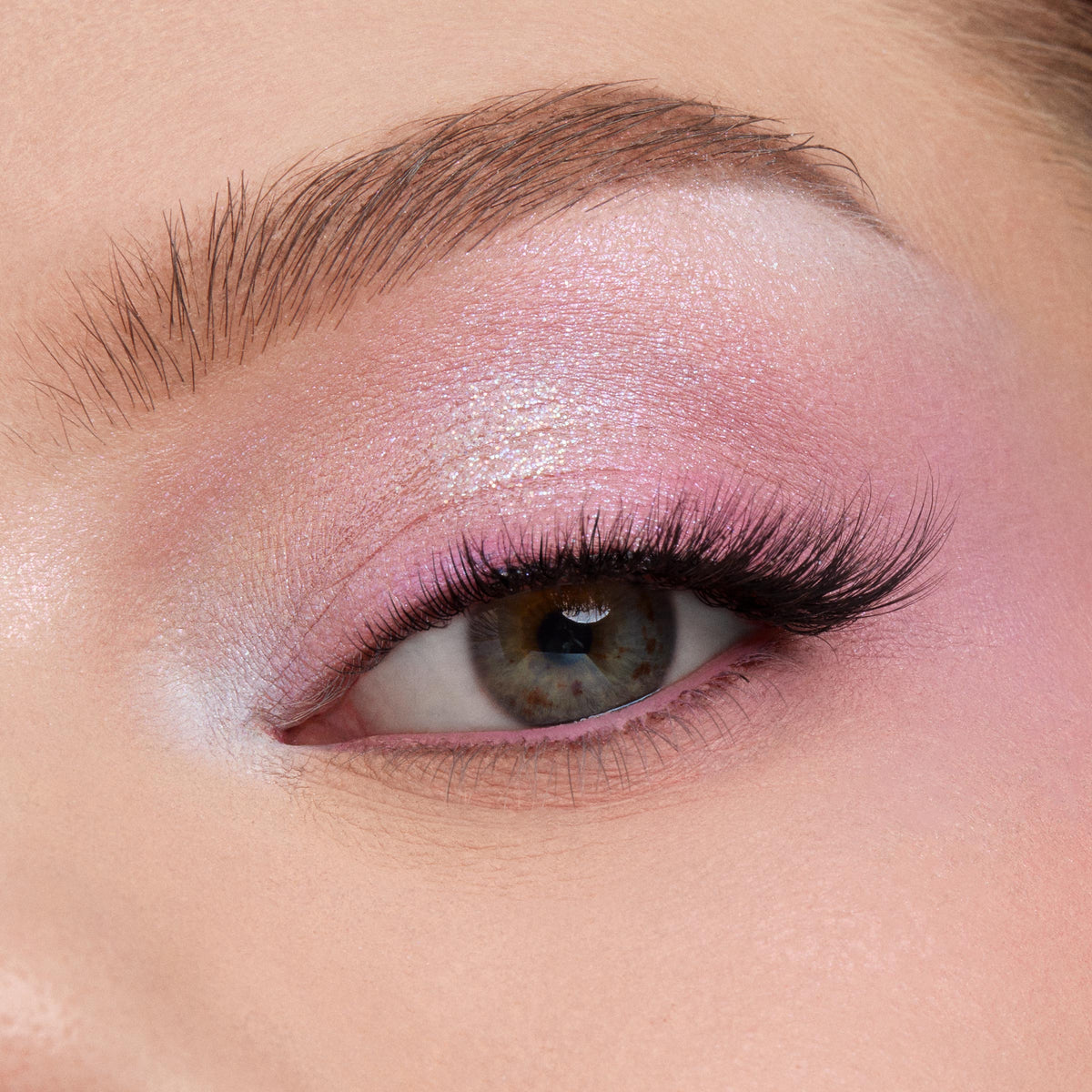 Shadow Palette In A Trance