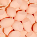 Makeup Tools & Accessories Blending Sponge
