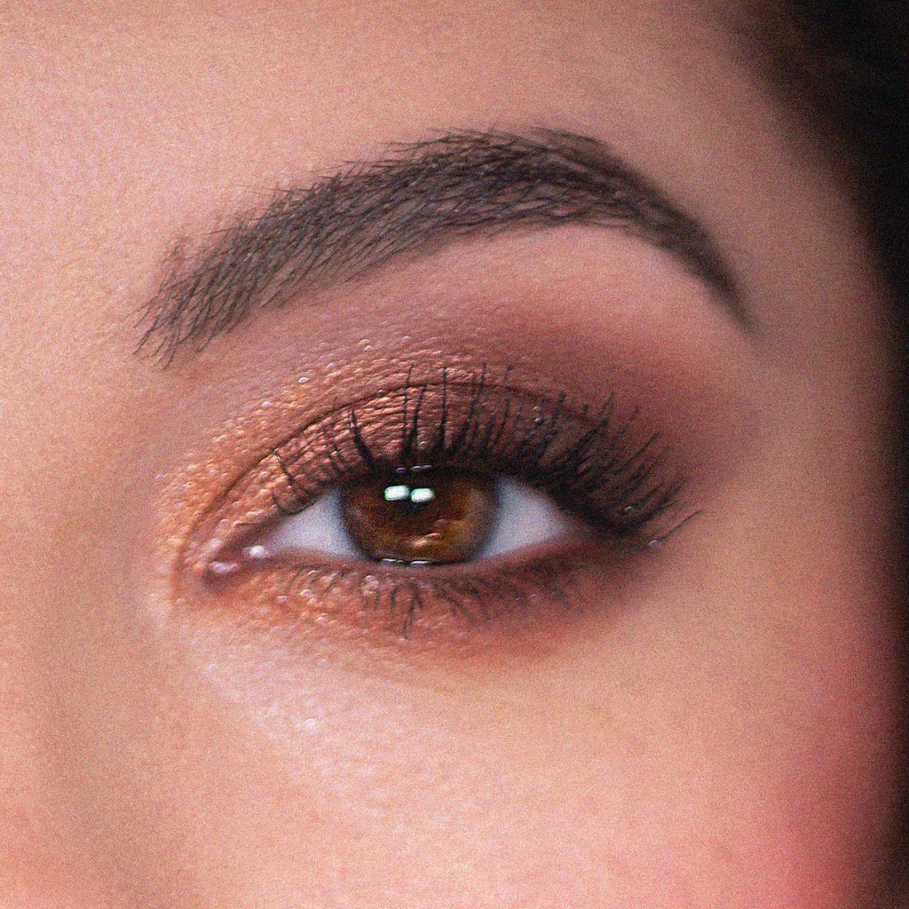 Shadow Palette Set Feelin Wild