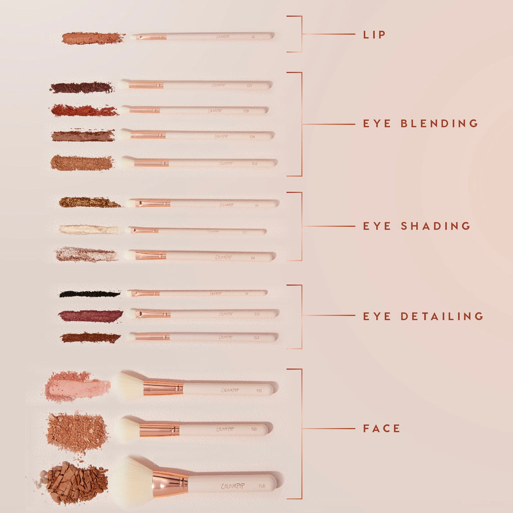 Makeup Brush Kit Ultimate Brush Roll