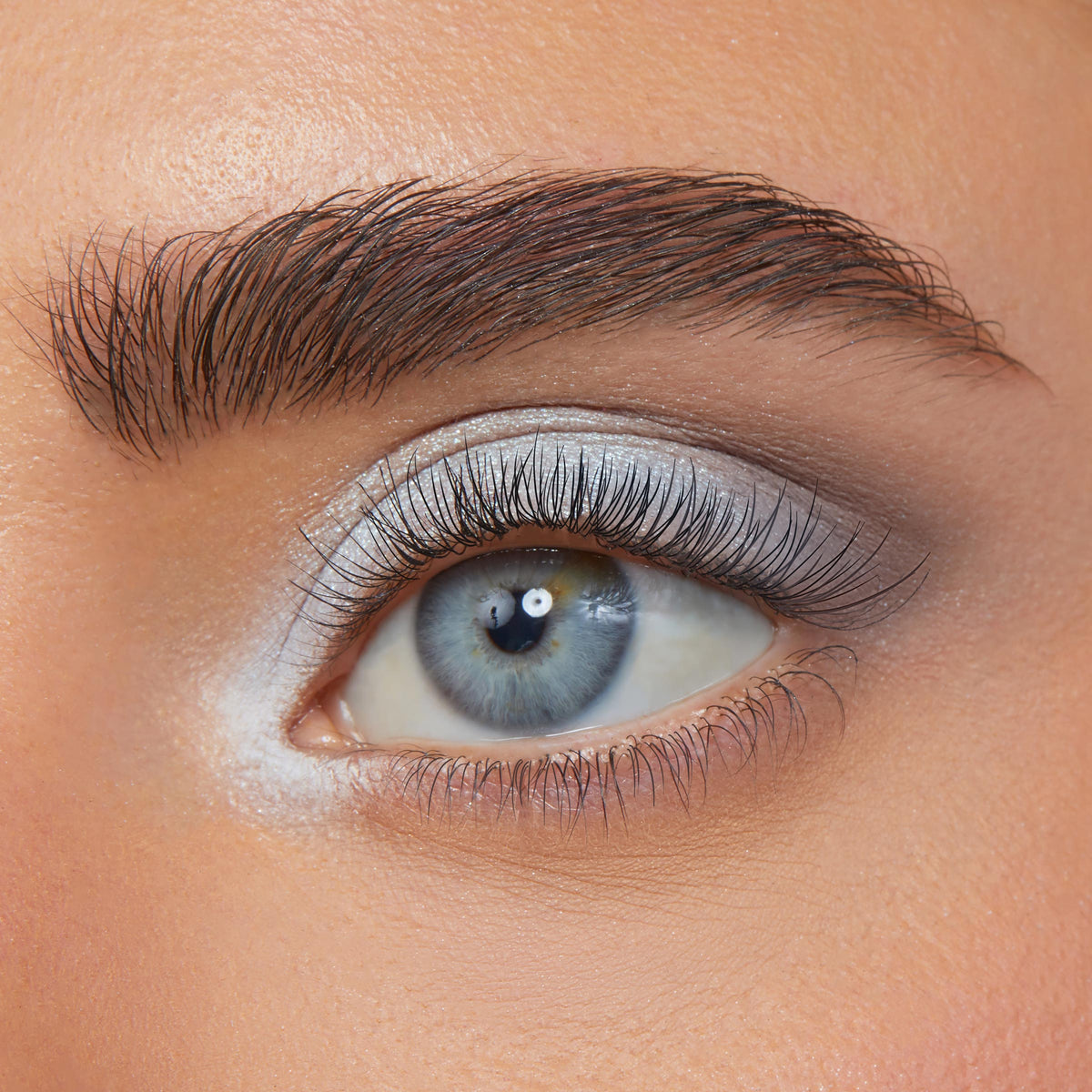 Shadow Palette Cloud 9