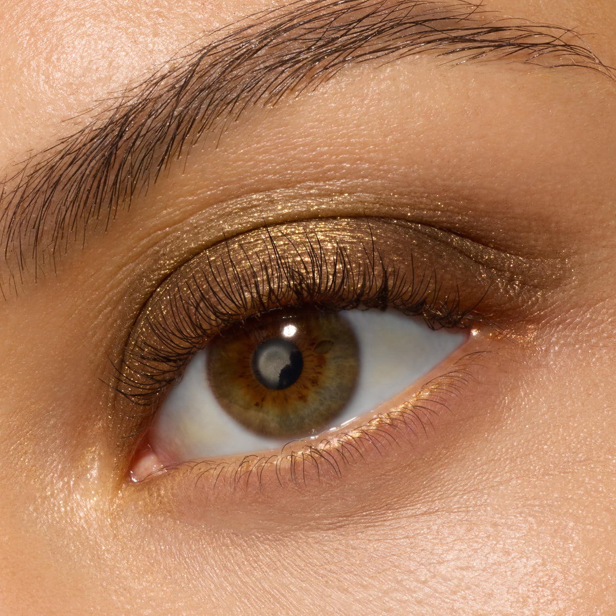 Super Shock Shadow We Won't Bite