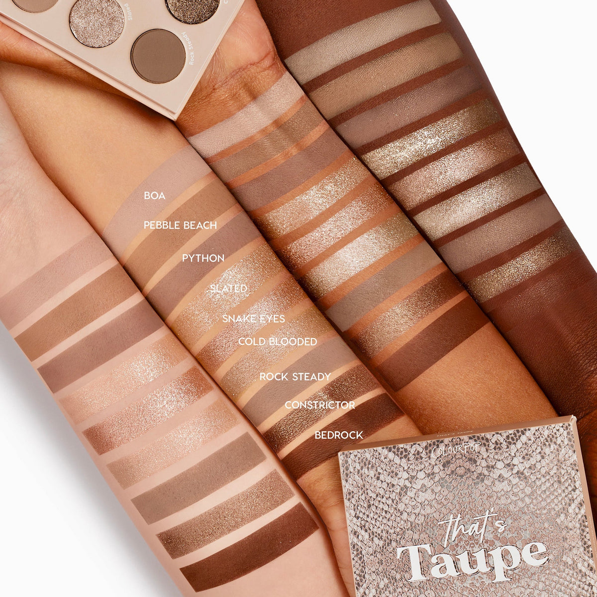 Shadow Palette That's Taupe