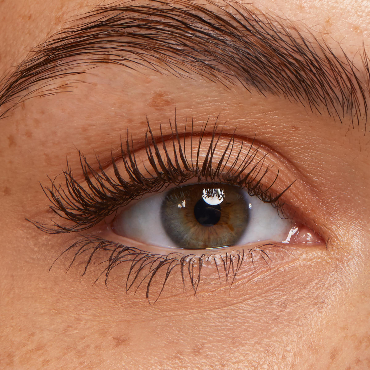 Lengthening Mascara Brown
