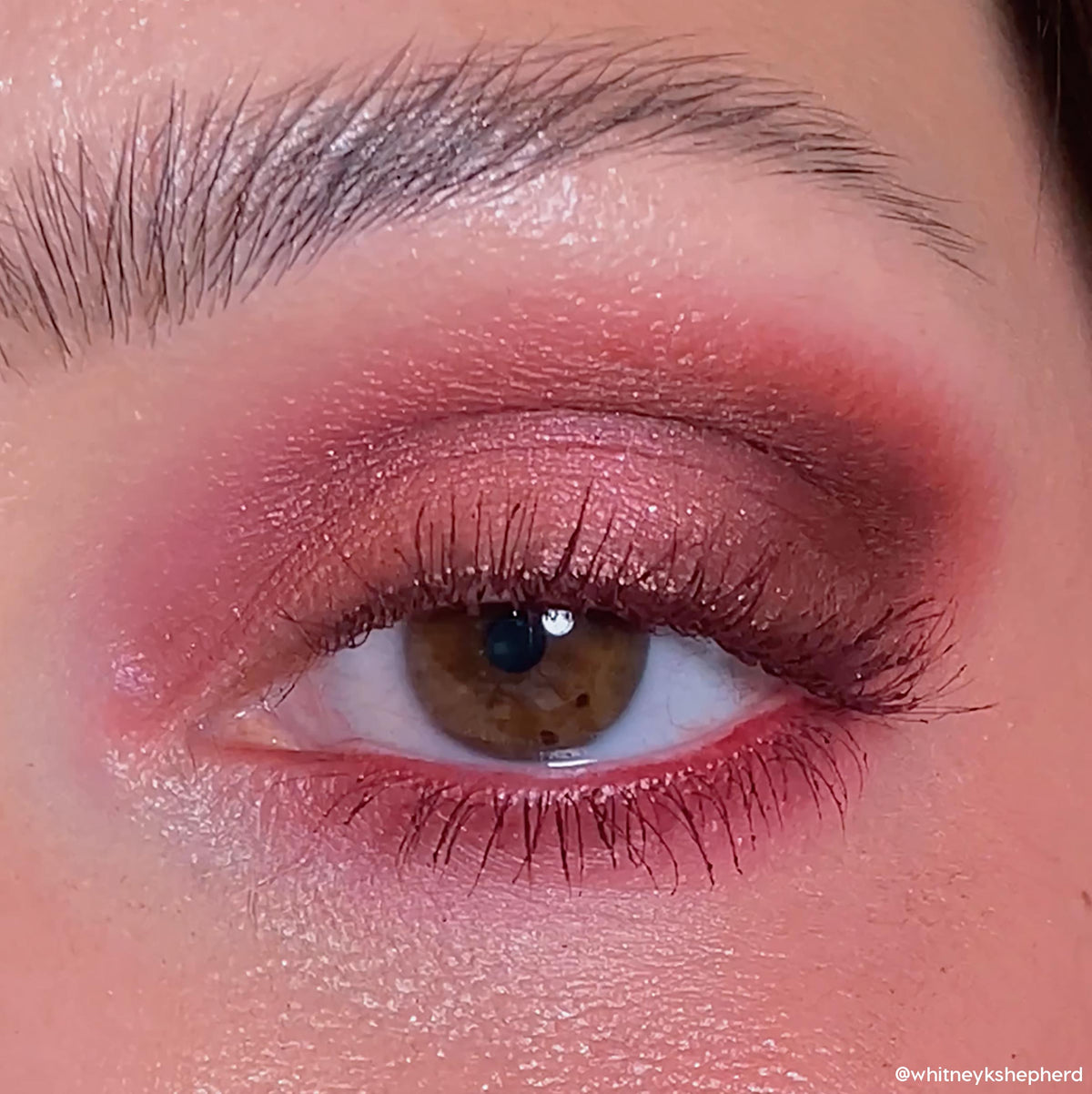 Shadow Palette Wine and Only