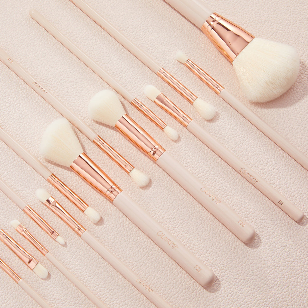 Makeup Brush Kit Ultimate Brush Roll