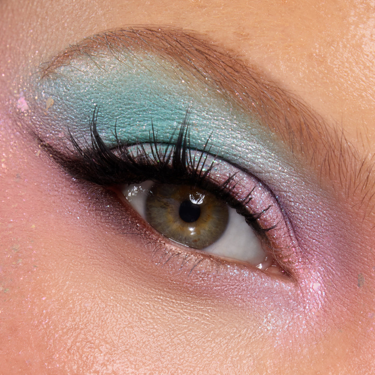 Shadow Palette Under the Sea