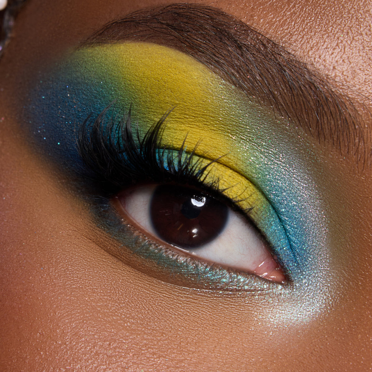 Shadow Palette Under the Sea
