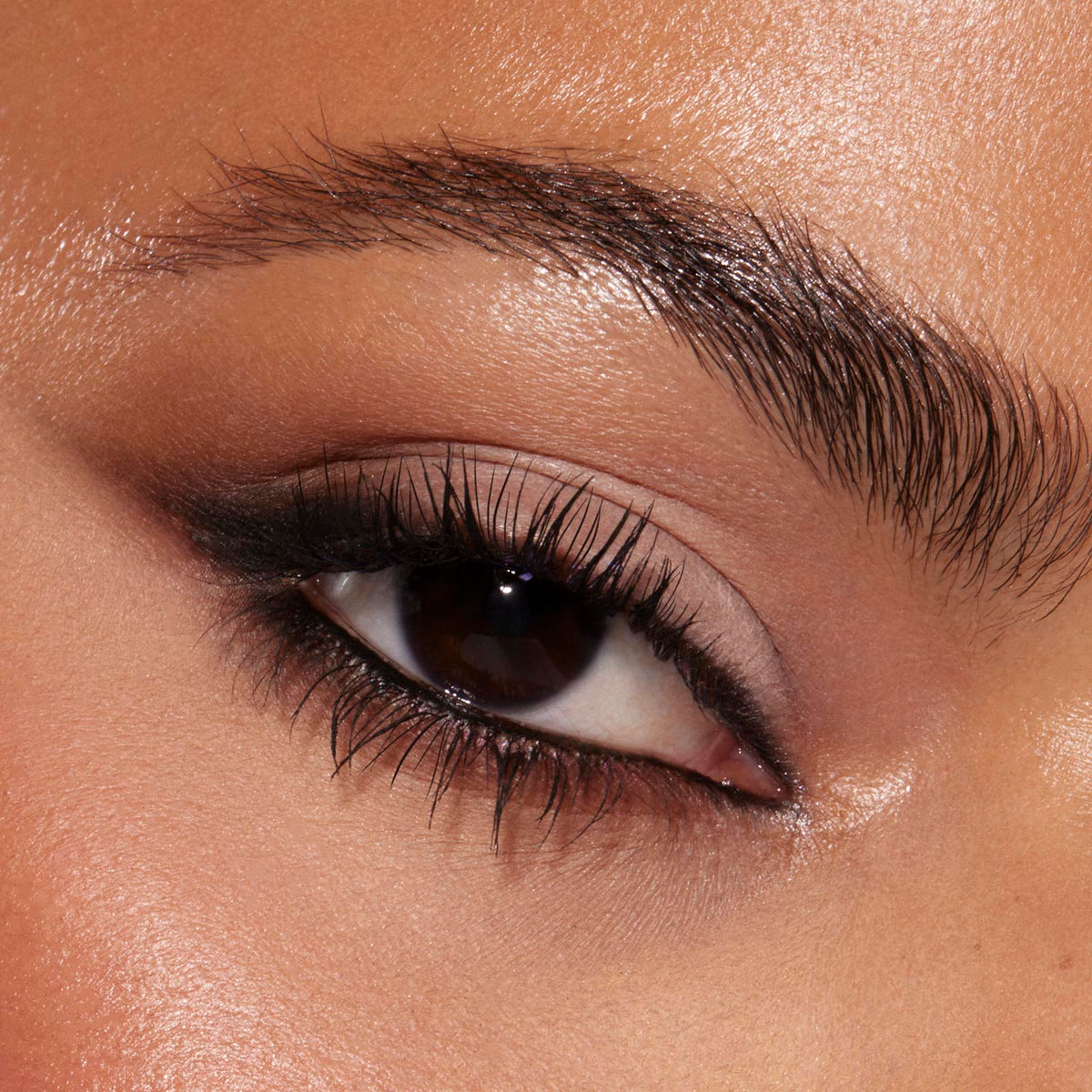 Shadow Palette Stone Cold Fox