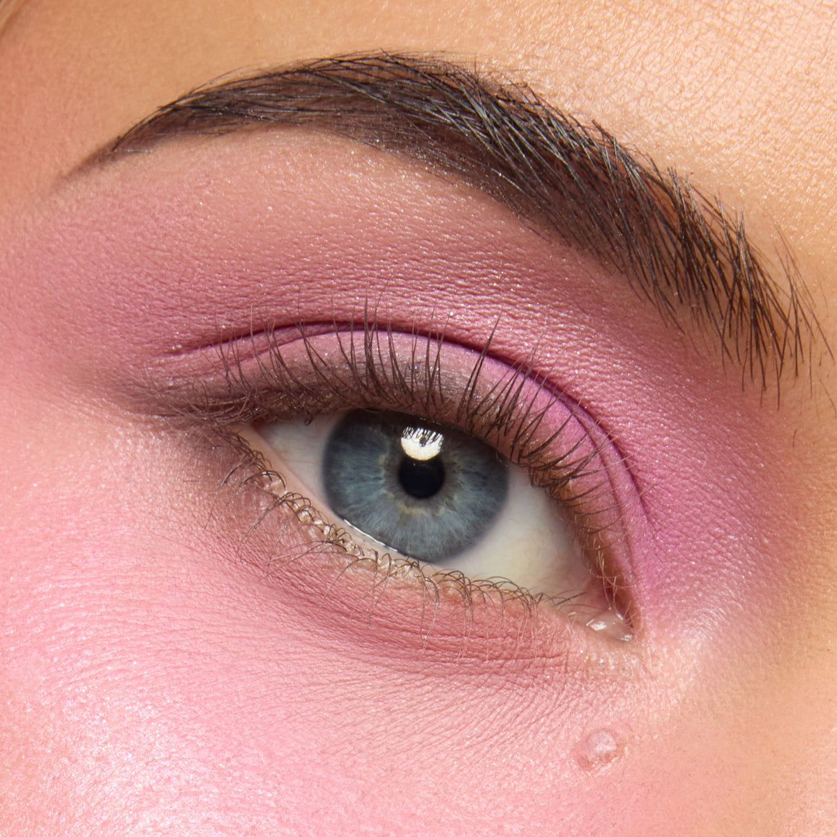 Full Collection Set Pink Dreams Collection